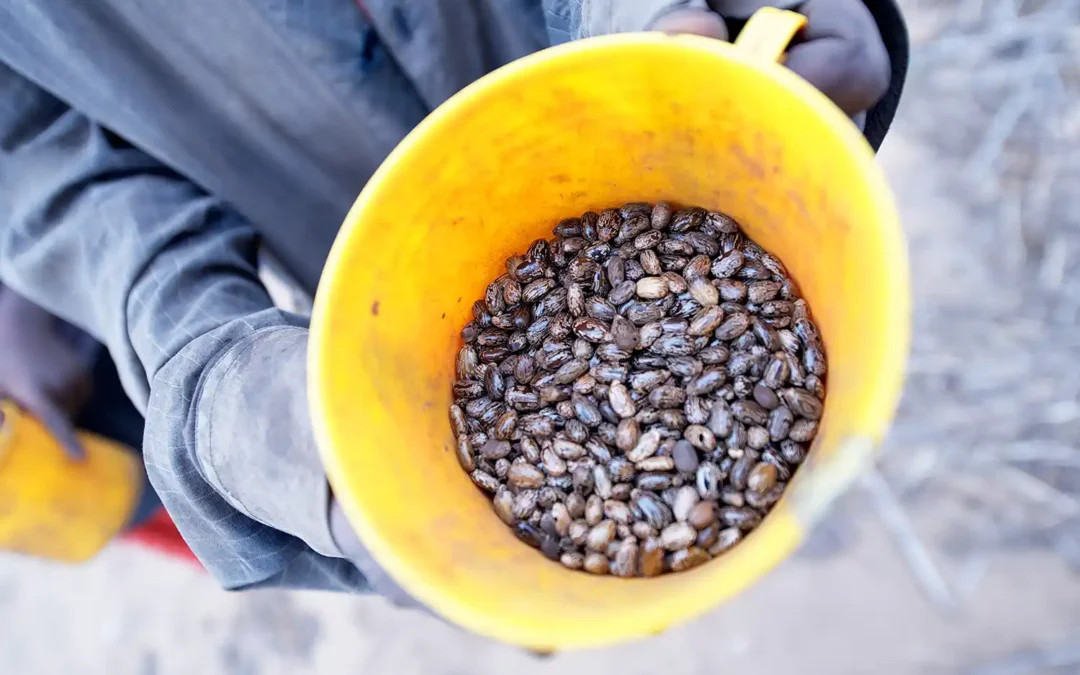 NewsMeet FASA’s Advisory Investment Committee