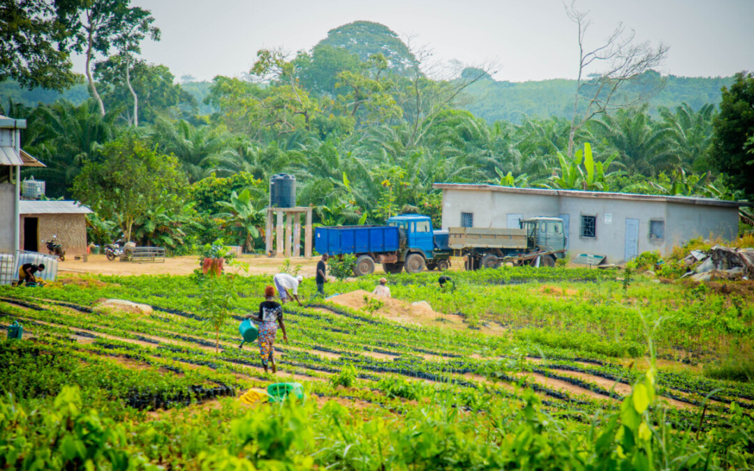 Learning Report Pan-AfricaFASA releases its first learning report: “The Landscape of agri-SME funds in Africa”