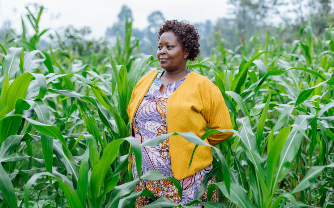 News Catalytic Capital Pan-AfricaFASA commits to ARAF II, a growth SME fund dedicated to agriculture and climate resilience in Africa